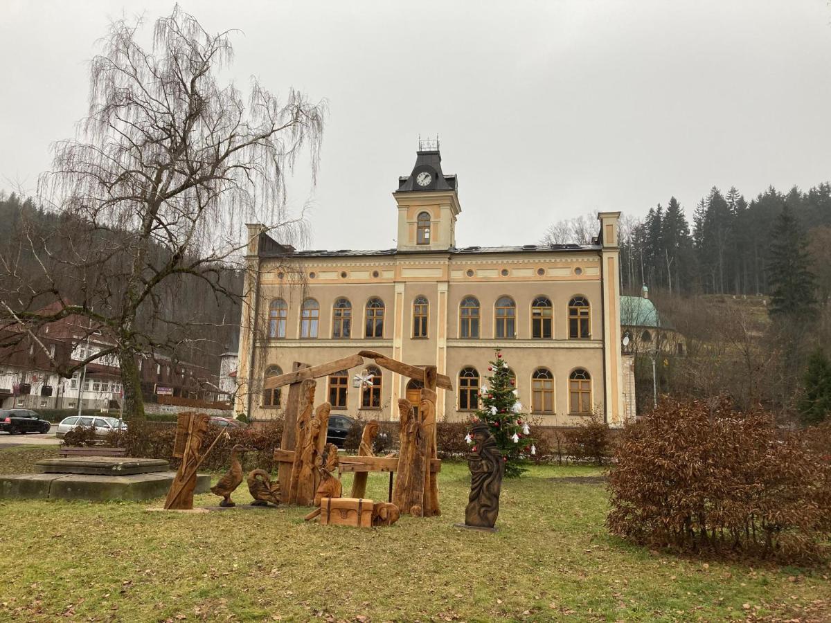 Apartman Hopi Hopi Svoboda nad Úpou Exteriör bild