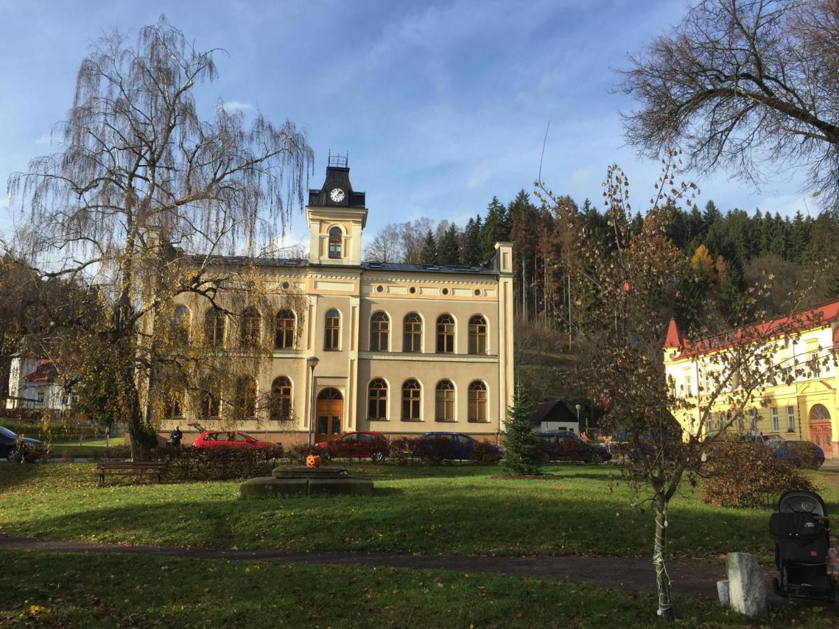 Apartman Hopi Hopi Svoboda nad Úpou Exteriör bild