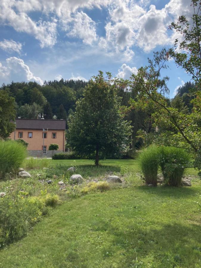 Apartman Hopi Hopi Svoboda nad Úpou Exteriör bild