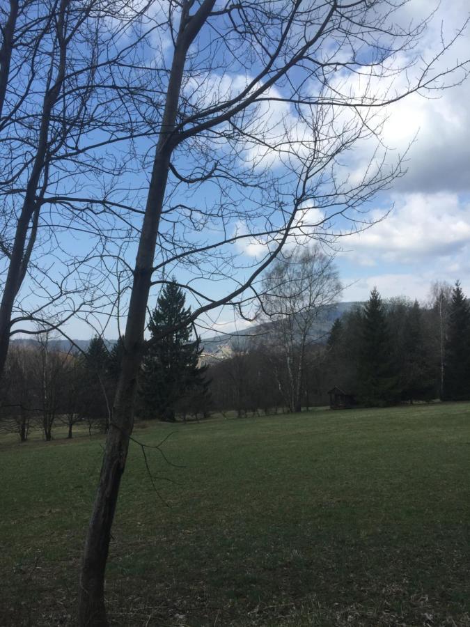 Apartman Hopi Hopi Svoboda nad Úpou Exteriör bild